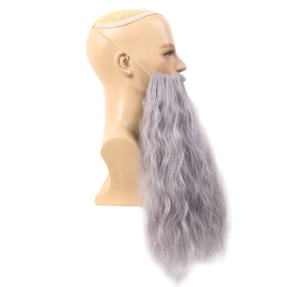 Wizard Wig and Beard