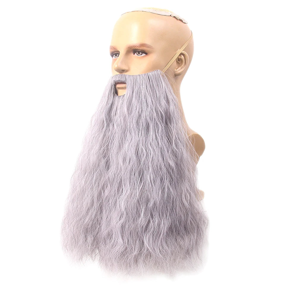 Wizard Wig and Beard